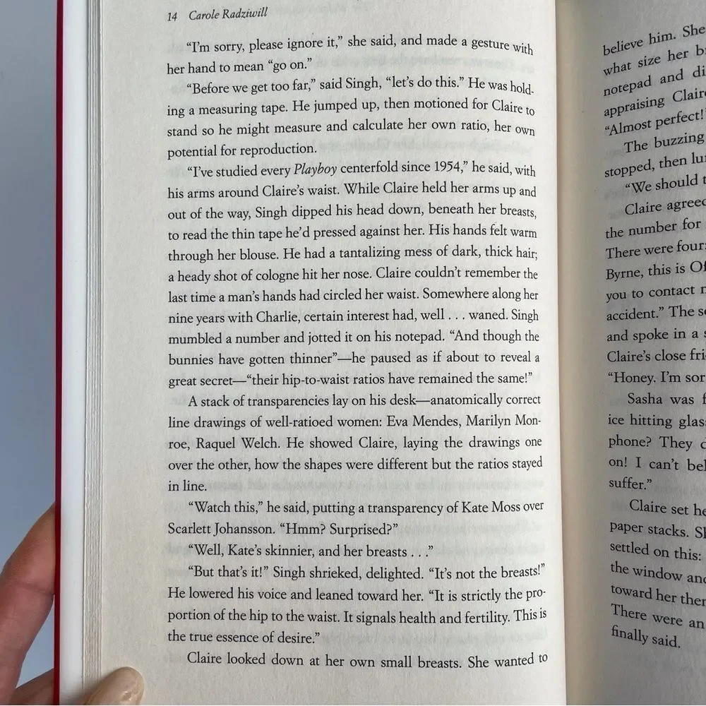 BOOK, The Widow’s Guide to Sex & Dating, a novel, 302 pages, Fiction, NOS - Picture 13 of 16